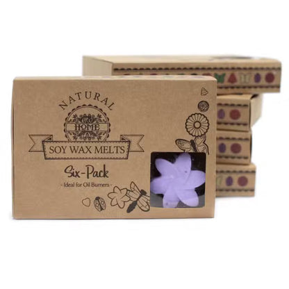 5x packs Wax Melts - Lavender Fields