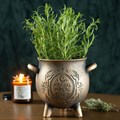 Herbal Magic Bronze Effect Terracotta Cauldron Plant Pot